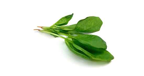 خواص شاهی برای مو ؛ فواید مصرف شاهی برای تقویت موی سر