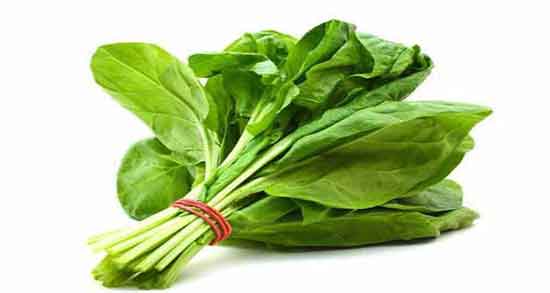 خواص شاهی خشک شده ؛ سبزی شاهی در چه غذاهایی استفاده میشود خواص شاهی خشک شده ؛ سبزی شاهی در چه غذاهایی استفاده میشود