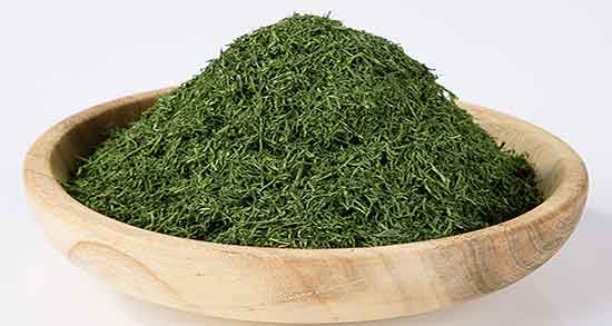 خواص شوید برای مرغ عشق ؛ شوید برای تقویت صدای مرغ عشق خواص شوید برای مرغ عشق ؛ شوید برای تقویت صدای مرغ عشق