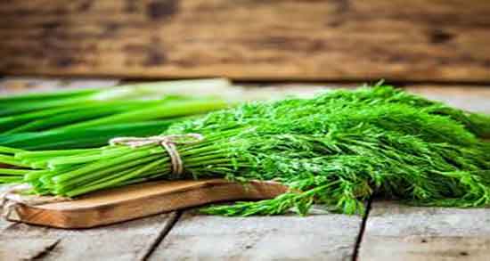 خواص شوید برای کودکان ؛ ایا شوید قد کودکان را بلند میکند یا نه خواص شوید برای کودکان ؛ ایا شوید قد کودکان را بلند میکند یا نه