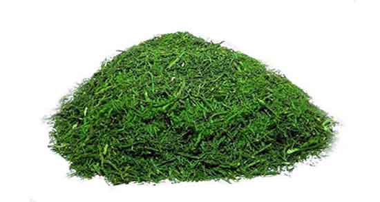 خواص شوید در سبزی خوردن ؛ فواید مصرف شوید همراه با سبزی خوردن خواص شوید در سبزی خوردن ؛ فواید مصرف شوید همراه با سبزی خوردن