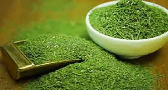 خواص شوید در لاغری ؛ ایا خوردن شوید برای چربی سوزی مفیده