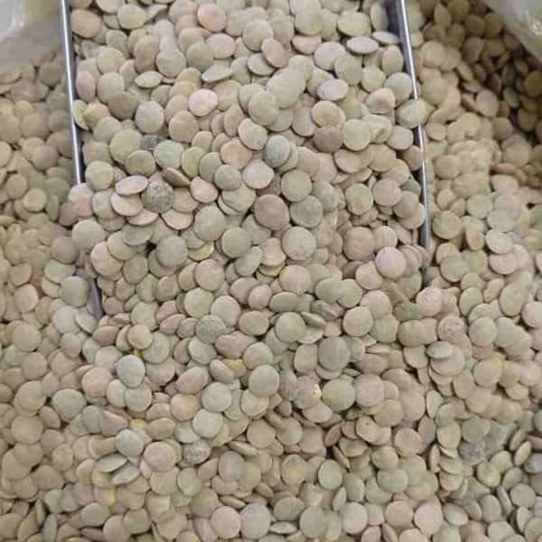 خواص شگفت انگیز عدس برای کم خونی عدس برای کم خونی