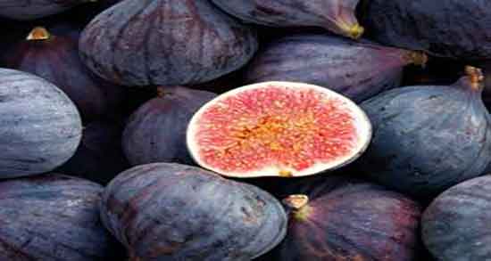 خواص شیره انجیر برای معده ؛ فواید شیره انجیر در درمان زخم معده خواص شیره انجیر برای معده ؛ فواید شیره انجیر در درمان زخم معده