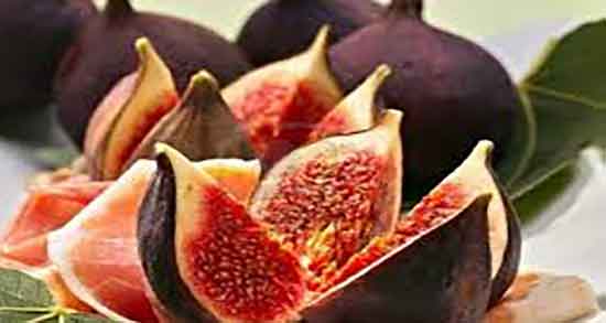 خواص شیره انجیر در طب اسلامی ؛ فواید شیره انجیر از نظر طب اسلامی خواص شیره انجیر در طب اسلامی ؛ فواید شیره انجیر از نظر طب اسلامی