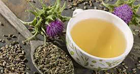 خواص عرق خار مریم برای لاغری ؛ ایا خار مریم برای چربی سوزی شکم خوبه خواص عرق خار مریم برای لاغری ؛ ایا خار مریم برای چربی سوزی شکم خوبه