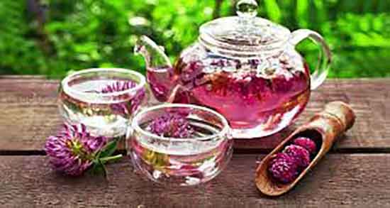 خواص عرق خار مریم برای کبد چرب ؛ مصرف عرق خار مریم برای کبد چرب