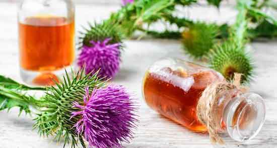 خواص عرق خار مریم و بهترین زمان مصرف عرق خار مریم برای رحم و لاغری خواص عرق خار مریم ؛ بهترین زمان مصرف عرق خار مریم برای رحم و لاغری