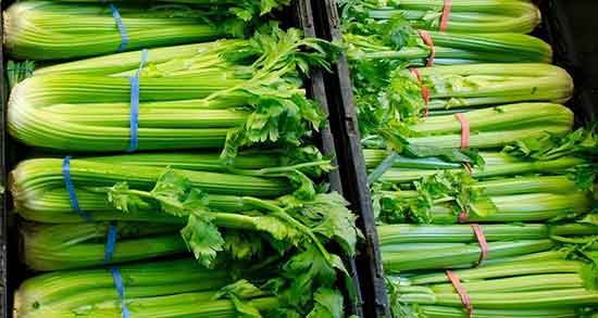 خواص عرق کرفس برای دیابت ؛ فواید عرق کرفس برای کنترل قند خون خواص عرق کرفس برای دیابت ؛ فواید عرق کرفس برای کنترل قند خون