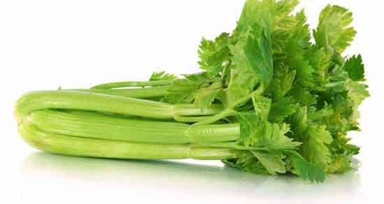 خواص عرق کرفس برای لاغری ؛ فواید عرق کرفس برای چربی سوزی خواص عرق کرفس برای لاغری ؛ فواید عرق کرفس برای چربی سوزی