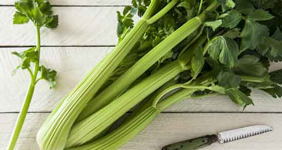 خواص عرق کرفس برای کیست تخمدان ؛ فواید عرق کرفس و کیست تخمدان خواص عرق کرفس برای کیست تخمدان ؛ فواید عرق کرفس و کیست تخمدان