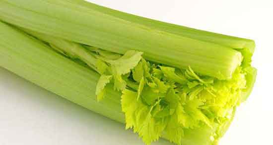 خواص عرق کرفس و زیره ؛ فواید عرق کرفس و زیره برای کبد چرب خواص عرق کرفس و زیره ؛ فواید عرق کرفس و زیره برای کبد چرب