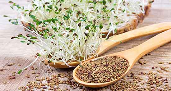 خواص عرق یونجه و شنبلیله ؛ خاصیت عرق یونجه و شنبلیله برای بدن