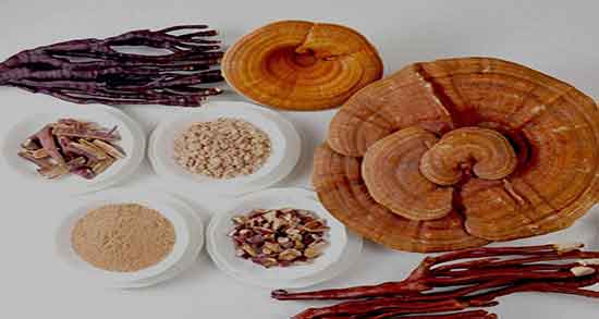 خواص قارچ گانودرما در درمان تبخال تناسلی ؛ گانودرما و تبخال خواص قارچ گانودرما در درمان تبخال تناسلی ؛ گانودرما و تبخال