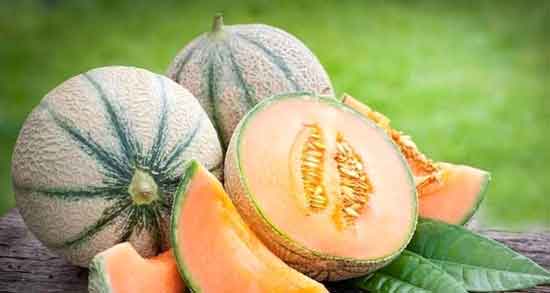 خواص ملون ؛ ملون و سرماخوردگی + طبع انواع ملون چیست