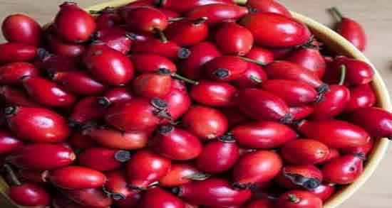 خواص میوه گل نسترن در بارداری ؛ تقویت بدن در بارداری با مصرف میوه گل نسترن خواص میوه گل نسترن در بارداری ؛ تقویت بدن در بارداری با مصرف میوه گل نسترن