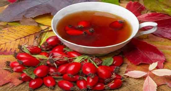 خواص میوه گل نسترن در طب سنتی ؛ همه چیز درباره خواص میوه گل نسترن خواص میوه گل نسترن در طب سنتی ؛ همه چیز درباره خواص میوه گل نسترن