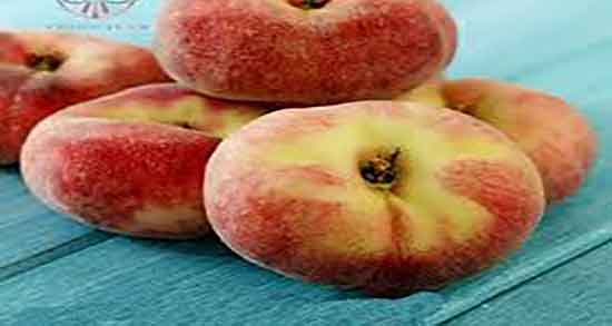 خواص هسته هلو انجیری ؛ فواید مصرف هسته هلو انجیری برای بدن خواص هسته هلو انجیری ؛ فواید مصرف هسته هلو انجیری برای بدن