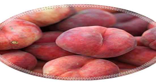 خواص هلو انجیری در بارداری ؛ فواید مصرف هلو انجیری برای زنان باردار خواص هلو انجیری در بارداری ؛ فواید مصرف هلو انجیری برای زنان باردار