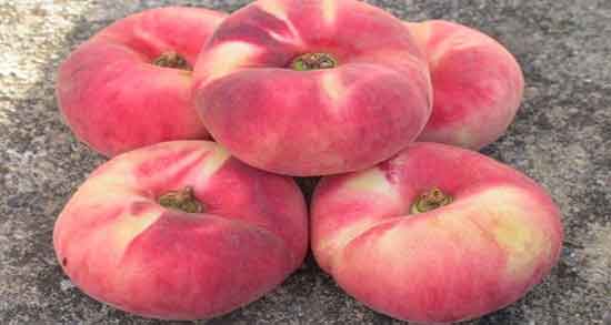 خواص هلو انجیری زعفرانی ؛ فواید مصرف هلو انجیری زعفرانی برای معده خواص هلو انجیری زعفرانی ؛ فواید مصرف هلو انجیری زعفرانی برای معده