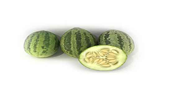 خواص هندوانه ابوجهل برای لاغری ؛ فواید هندوانه ابوجهل برای سینوزیت خواص هندوانه ابوجهل برای لاغری ؛ فواید هندوانه ابوجهل برای سینوزیت