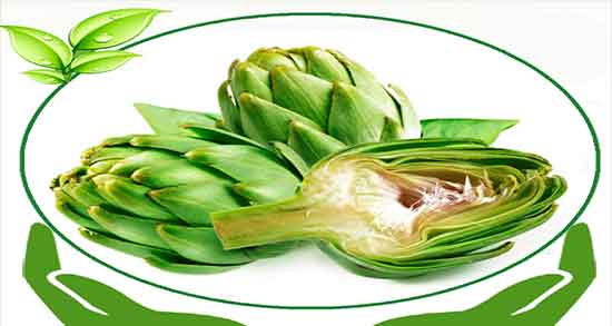 خواص و مضرات آرتیشو ؛ فواید و عوارض مصرف گیاه ارتیشو پخته