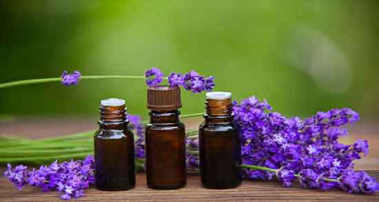 خواص و مضرات اسطوخودوس در طب سنتی ؛ همه چیز درباره گیاه اسطوخودوس خواص و مضرات اسطوخودوس در طب سنتی ؛ همه چیز درباره گیاه اسطوخودوس