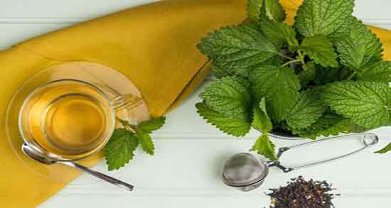 خواص و مضرات بادرنجبویه ؛ فواید و عوارض مصرف بادرنجبویه برای بدن خواص و مضرات بادرنجبویه ؛ فواید و عوارض مصرف بادرنجبویه برای بدن