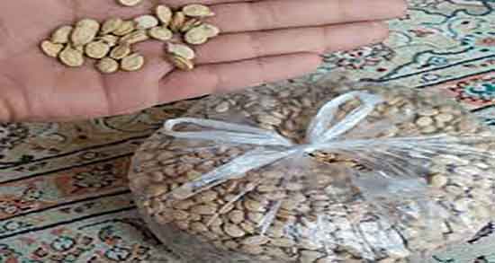 خواص و مضرات تخمه هندوانه ؛ فواید و مضرات تخمه هندوانه برای معده خواص و مضرات تخمه هندوانه ؛ فواید و مضرات تخمه هندوانه برای معده