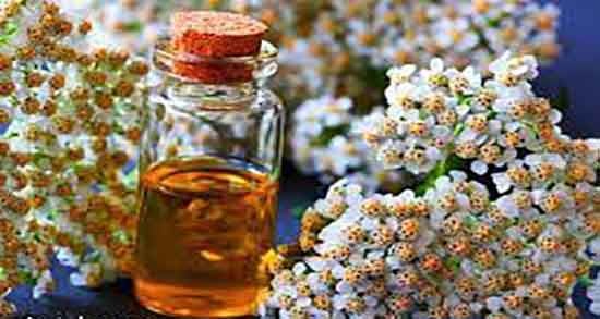 خواص و مضرات عرق بومادران ؛ فواید و مضرات عرق بومادران چیست