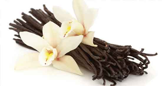 خواص وانیل در بارداری ؛ خاصیت مصرف وانیل در دوران بارداری چیست