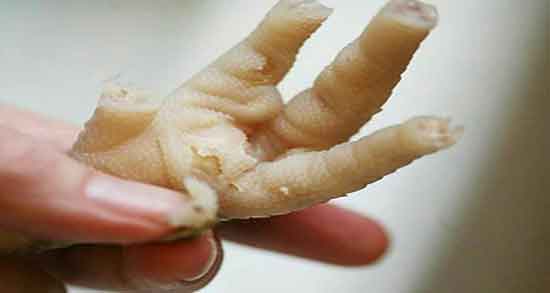 خواص پای مرغ برای غضروف ؛ فواید مصرف پای مرغ برای غضروف سازی