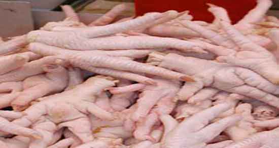 خواص پای مرغ برای مو ؛ فواید مصرف پای مرغ برای تقویت پوست و مو خواص پای مرغ برای مو ؛ فواید مصرف پای مرغ برای تقویت پوست و مو