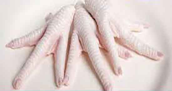 خواص پای مرغ محلی و ایا پای مرغ محلی برای غضروف سازی مفید است خواص پای مرغ محلی ؛ ایا پای مرغ محلی برای غضروف سازی مفید است