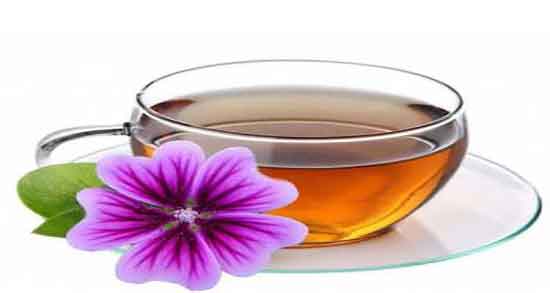 خواص پنیرک برای بواسیر ؛ مصرف پنیرک برای درمان بواسیر اقایان