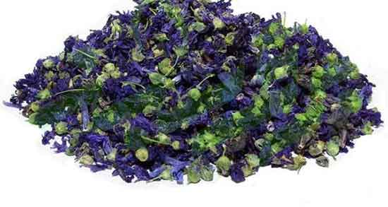 خواص پنیرک برای سرفه ؛ خوردن دمنوش پنیرک برای درمان سرفه کودکان خواص پنیرک برای سرفه ؛ خوردن دمنوش پنیرک برای درمان سرفه کودکان