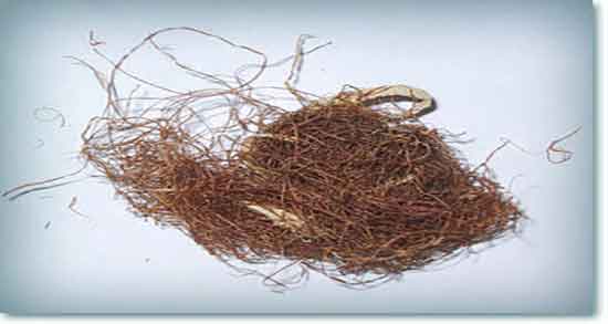 خواص کاکل ذرت برای پروستات و ایا مصرف کاکل ذرت برای پروستات خوبه خواص کاکل ذرت برای پروستات ؛ ایا مصرف کاکل ذرت برای پروستات خوبه