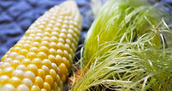 خواص کاکل ذرت ؛ چگونه کاکل ذرت را دم کنیم + کاکل ذرت گرم یا سرد