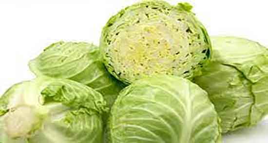 خواص کلم برگ قرمز و فواید مصرف کلم برگ قرمز برای بدن انسان خواص کلم برگ قرمز ؛ فواید مصرف کلم برگ قرمز برای بدن انسان