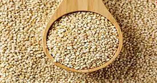 خواص کینوا برای لاغری ؛ فواید مصرف دانه کینوا برای لاغری و چربی سوزی خواص کینوا برای لاغری ؛ فواید مصرف دانه کینوا برای لاغری و چربی سوزی