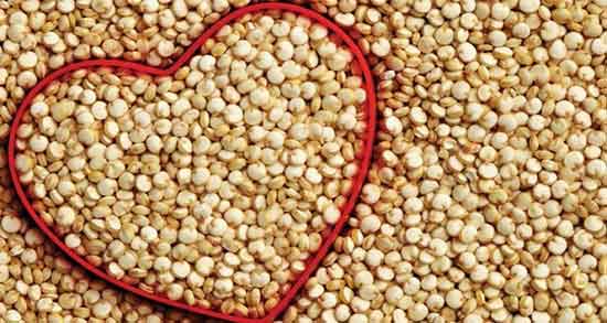 خواص کینوا برای کودک ؛ مصرف دانه کینوا برای تقویت حافظه کودکان خواص کینوا برای کودک ؛ مصرف دانه کینوا برای تقویت حافظه کودکان