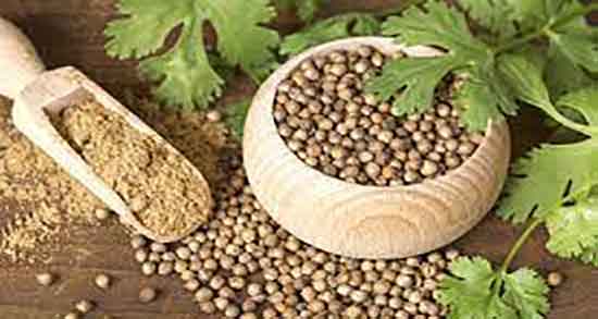 خواص گشنیز برای مردان ؛ فواید مصرف گشنیز برای تقویت اسپرم اقایان خواص گشنیز برای مردان ؛ فواید مصرف گشنیز برای تقویت اسپرم اقایان