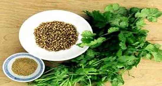 خواص گشنیز برای پوست ؛ فواید مصرف گشنیز برای زیبایی پوست صورت