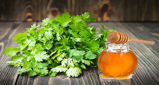 خواص گشنیز و دیابت ؛ ایا خوردن گشنیز برای درمان دیابت مفید است خواص گشنیز و دیابت ؛ ایا خوردن گشنیز برای درمان دیابت مفید است