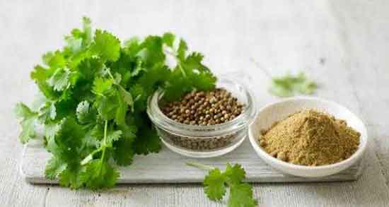 خواص گشنیز و عسل ؛ فواید مصرف گشنیز و عسل برای درمان کم خونی خواص گشنیز و عسل ؛ فواید مصرف گشنیز و عسل برای درمان کم خونی