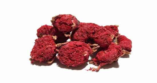 خواص گل انار فارسی برای رحم ؛ درمان عفونت و کیست رحم با مصرف گل انار فارسی خواص گل انار فارسی برای رحم ؛ درمان عفونت و کیست رحم با مصرف گل انار فارسی