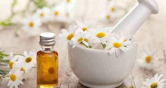 خواص گل بابونه برای معده و خاصیت درمانی گل بابونه برای بیماری معده خواص گل بابونه برای معده ؛ خاصیت درمانی گل بابونه برای بیماری معده