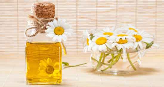 خواص گل بابونه در لاغری و کاهش وزن و چربی سوزی با مصرف گل بابونه خواص گل بابونه در لاغری ؛ کاهش وزن و چربی سوزی با مصرف گل بابونه