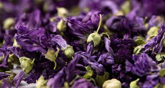 خواص گل ختمی برای عفونت ریه و سرفه و مو و گوارش + دمنوش گل ختمی خواص گل ختمی ؛ برای عفونت ریه و سرفه و مو و گوارش + دمنوش گل ختمی