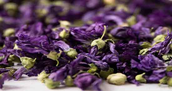 خواص گل ختمی برای پوست و مو ؛ حفظ سلامتی پوست و مو با مصرف گل ختمی خواص گل ختمی برای پوست و مو ؛ حفظ سلامتی پوست و مو با مصرف گل ختمی